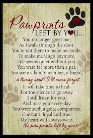 losing a beloved pet and pet loss grief