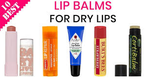 top 5 best lip balm for daily use