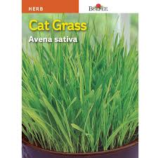 3.9 out of 5 stars 35 ratings. Burpee Herb Cat Grass Seed 66924 The Home Depot
