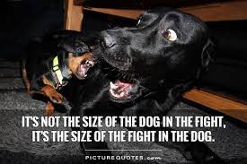 It looks like we don't have any quotes for this title yet. Dog Fighting Quotes Quotesgram