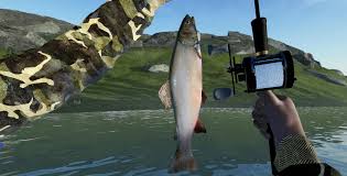 Some of them are unique for each fishery. Ultimate Fishing Simulator Beatsy Lake Easy Fishing