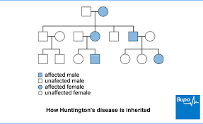 What Causes Huntington Disease