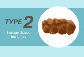 Poop Appearance What Stool Shape Size Smell Can Tell You