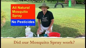 all natural mosquito spray with beer