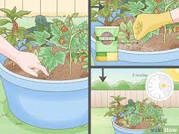 3 ways to grow a container garden wikihow