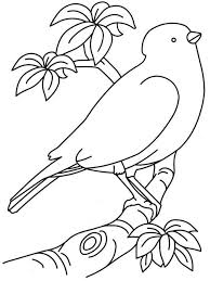 They're great for all ages. Parakeet Coloring Pages Best Coloring Pages For Kids