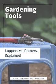 Loppers Vs Pruners Explained Clean