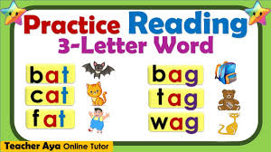 3 letter word phonics reading guide