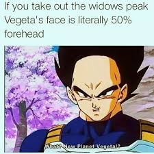 Vegito (ベジット, bejitto), called vegerot in the viz english manga, is the result of the fusion between goku and vegeta by the use of the potara earrings. Dragon Ball 10 Hilarious Vegeta Memes Dr News