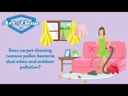 carpet cleaning remove pollen bacteria