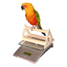 Normal Weights In Companion Birds