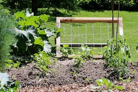 Diy Trellis For Climbing Fruits And