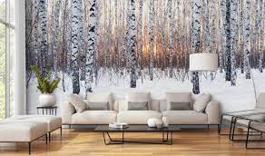 Birch Tree Wallpaper Wall Murals