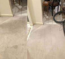 alpine cleaners best carpet cleaning