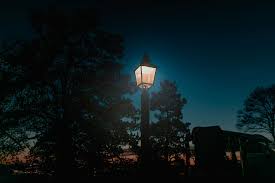Low Light Photography Light Post Nighttime Pole Lamp Outside Trees Plant Night Pxfuel