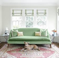 green sofa on pink rug transitional