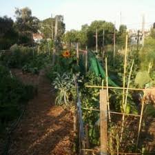 the best 10 community gardens near
