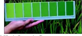 Pdf 04 New Leaf Color Chart For Effective Nitrogen