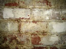 removing efflorescence from walls the