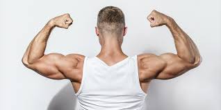 build arm muscle