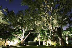 Low Voltage Garden Lights Tips And