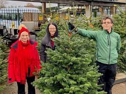 christmas trees to staffordshire groups