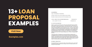 Loan Proposal 13 Examples Format