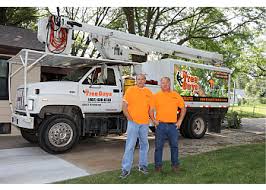 Lincoln, ne > buy & sell > free stuff in lincoln, ne > free firewood. 3 Best Tree Services In Lincoln Ne Expert Recommendations