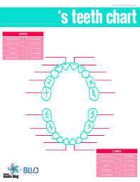 Childrens Teeth Timeline Teething Tips For Care