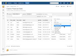 Table Data Filtration And Visualization In Confluence Isos
