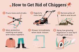 how to get rid of chiggers on skin in