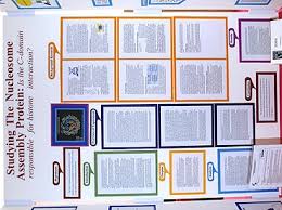 How to write a science fair project research paper. Science Fair Project Display Boards