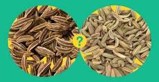 Can  you  use  caraway  seeds  instead  of  fennel  seeds?