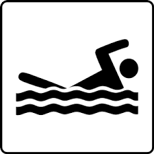 Image result for pool clipart