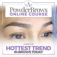 powder brows course zyanya beauty
