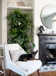 See more ideas about plant wall, indoor plant wall, indoor plants. How I Built An Indoor Living Plant Wall Luke Arthur Wells