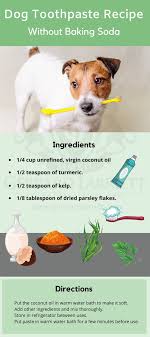 natural remes for bad dog breath