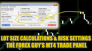 Forex Lot Sizing Explained Trade Panel Risk Settings Tutorial