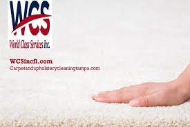 deep carpet cleaning low moisture