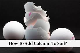 How To Add Calcium To Soil The Four