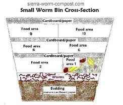 building a worm bin