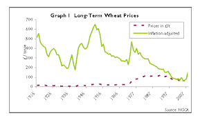 The Worth Of Wheat After Inflation 2008