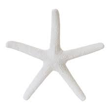 Starfish Ø 38 Cm