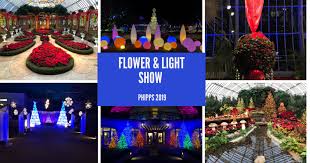 flower and light show at phipps in