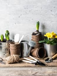 Pots And Garden Tools On Rustic Wood Table