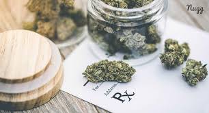All a patient has to do is upload their current. How To Get A Medical Marijuana Card In Pennsylvania Sponsored Sponsored Content Pittsburgh Pittsburgh City Paper