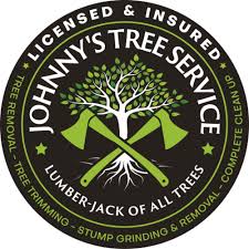 A tree removal permit is required for most types of tree removals within the city of alpharetta. Tree Service Johnny S Tree Service Buford Ga