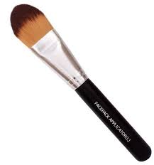 wizer makeup brush at rs 249 piece