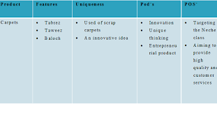 carpet business plan project new