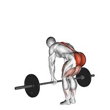 The romanian deadlift will still support your strength goals, but because of the way the. Barbell Romanian Deadlift Barbell Deadlift Romanian Leg Workouts Gym Deadlift Glutes Workout